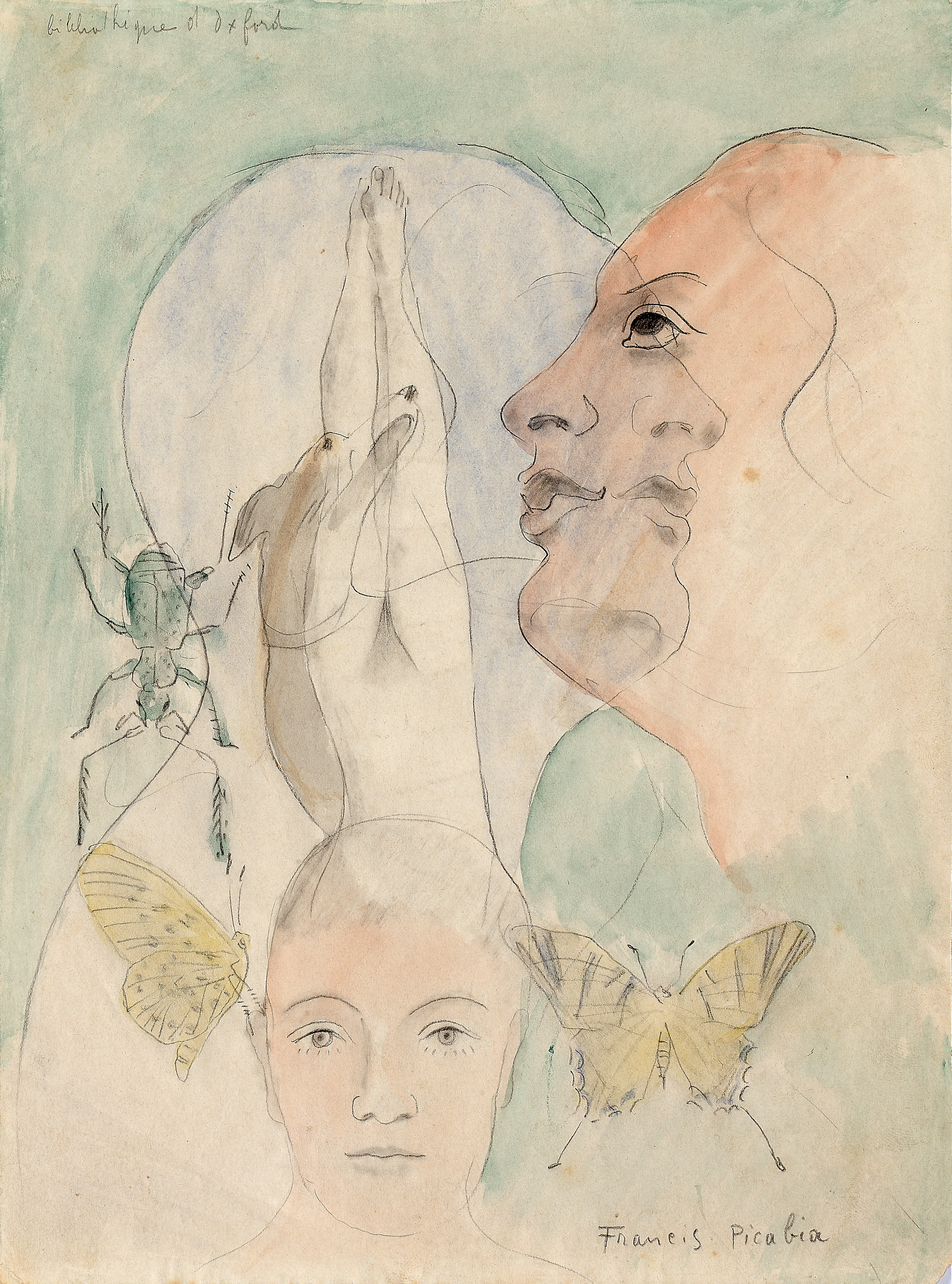 Francis PICABIA (1879-1953) — Transparence, tête de femmes et insectes