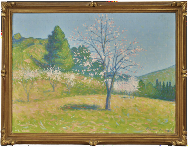 — Le verger en fleurs au printemps