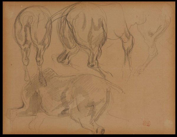 Eugène DELACROIX (1798-1863) — Quatre études de croupes de chevaux