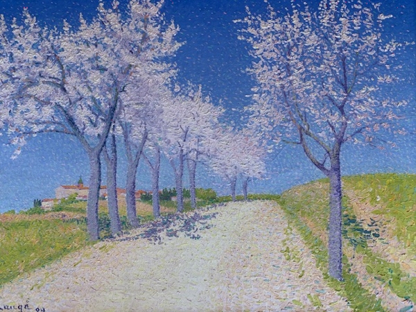  — Amandiers en fleurs route de Cailhau