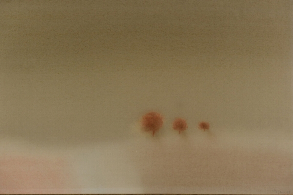 Véra PAGAVA (1907-1988) — Les arbres près du chemin, (19)63