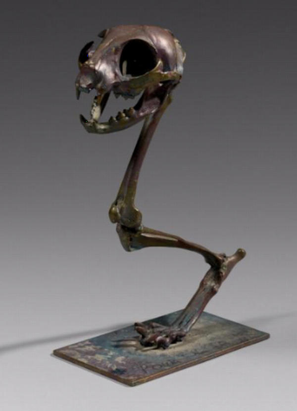 — Dinosaure unijambiste